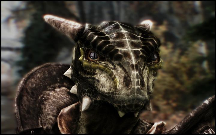 Insanely Cool Argonian Close-Up