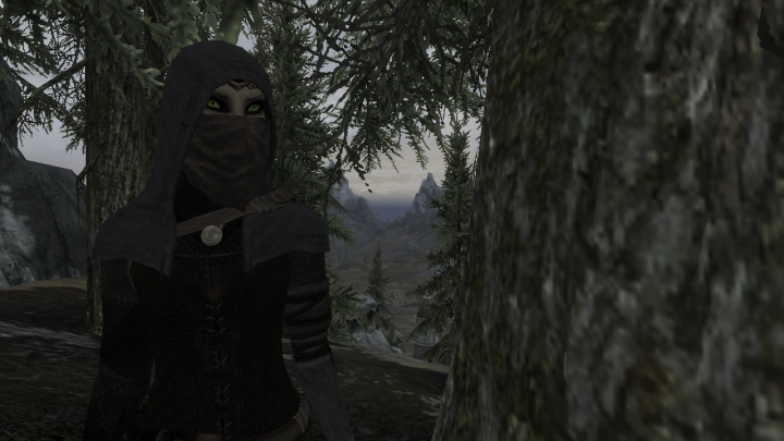 Hiding From The Thalmor