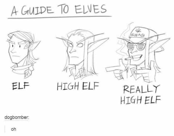 A Guide to Elves
