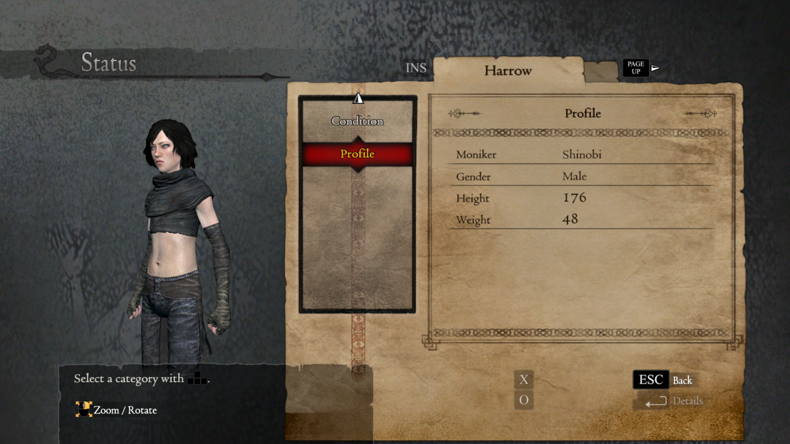 Dragon's Dogma universe infiltrated!